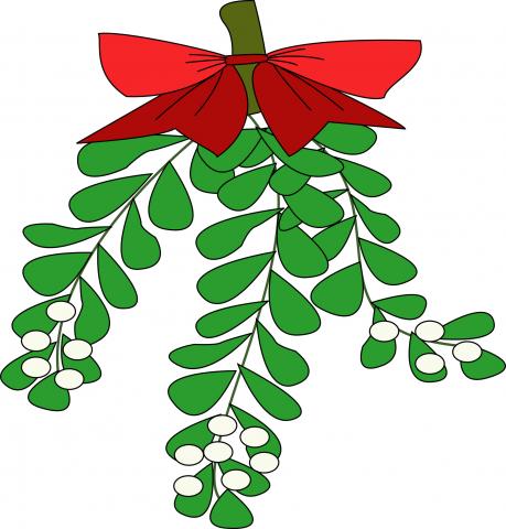 Mistletoe © PinkDaysie - Fotolia.com