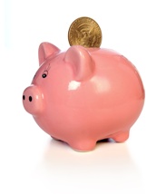 Word of the week What s the meaning of piggy bank