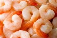 Shrimp.jpg
